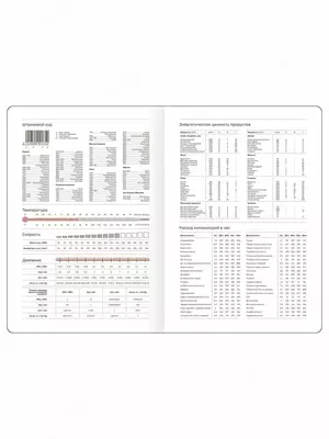 Датированный Ежедневник 2025 г. "BG" Windsor, иск. кожа, А5, 176 л. (Арт. - DdA5_60847 ) Черный