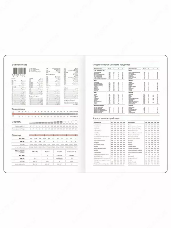 Датированный Ежедневник 2025 г. "BG" Windsor, иск. кожа, А5, 176 л. (Арт. - DdA5_60847 ) Черный