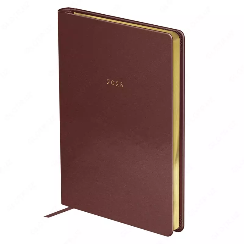 Sana kundaligi 2025 "BG" Windsor, da'vo. teri, A5, 176 l. (Art. - DdA5_60849) To'q/qizil