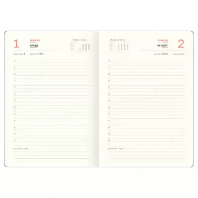 Датированный Ежедневник 2025 г. "BG" Windsor, иск. кожа, А5, 176 л. (Арт. - DdA5_60849) Темно/красный