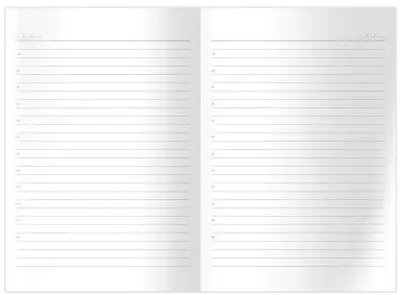 Ежедневник недатированный 7БЦ "BG" Mad skate, глянц. ламинация, А5, 160 л (Арт. - ЕН5т160_лг_12414)