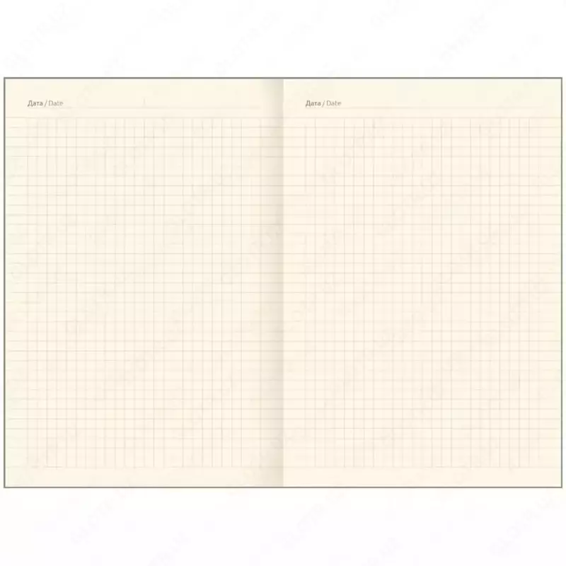 Notebook Light (hujayra) "Grinvich liniyasi" Urban. Sariq duoton, A5, 80 varaq, san'at. teri (Art. - NA5-25482)