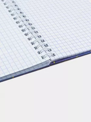 Daftar BG "Hares hayoti" A6, 80 p., qattiq. qopqoq, mat. laminatsiya, tanlang lak, taroq (Art. - ZKT6gr80_lm_vl_10169)