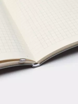Записная книжка (клетка) "Deli" А5, 210 х 143 мм, 80 л., закладка-ляссе (Арт. - 135G-N-gr) Серая