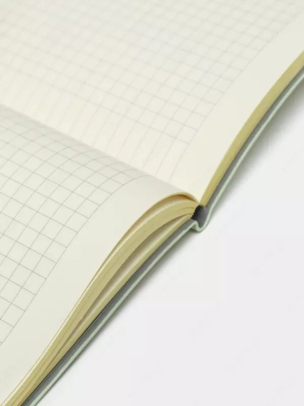 Записная книжка (клетка) "Deli" А5, 210 х 143 мм, 96 л., закладка-ляссе (Арт. - 140G-N-yl) Светло/Зеленая