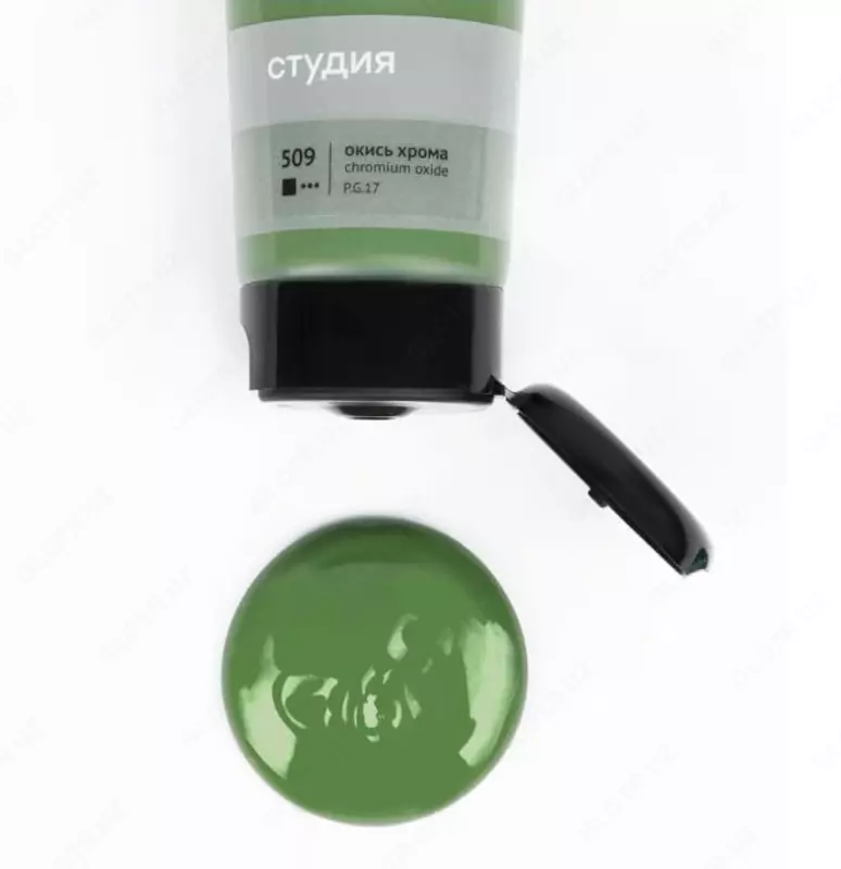 Художественная акриловая краска № 509 "Гамма" Студия, 75 мл., пласт. туба (Арт. - 280220509) Окись хрома