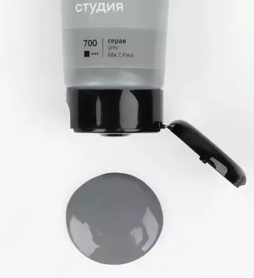 Художественная акриловая краска № 700 "Гамма" Студия, 75 мл., пласт. туба (Арт. - 280220700) Серая