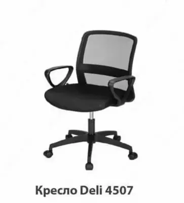 Ofis kafedrasi "Deli" (m. - 4507)