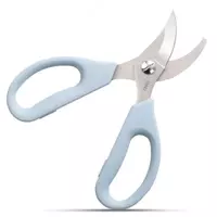 Bog 'qaychi "Deli" Home