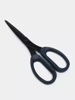 Kantselyariya qaychi "Deli" Ergo