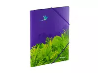 Пластиковая папка для документов "Berlingo" Flower Art