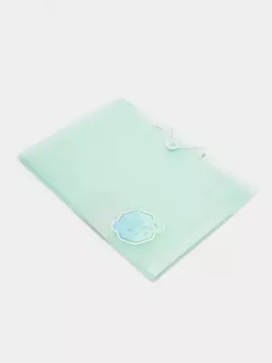 Папка-органайзер "Deli" 8 отделений, застежка резинка (Арт.- 307-PM) Ассортимент