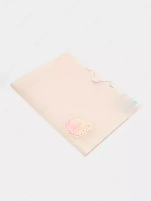 Папка-органайзер "Deli" 8 отделений, застежка резинка (Арт.- 307-PM) Ассортимент