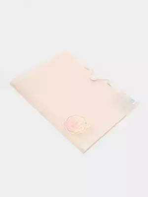 Папка-органайзер "Deli" 8 отделений, застежка резинка (Арт.- 307-PM) Ассортимент