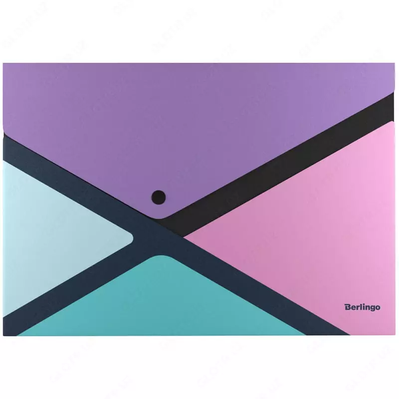 Plastik papka-konvert (1 tugma) "Berlingo" xProject. Rangli blok, A4, 1 qism, 300 mikron (Art. - EFb_A4995) Rang turli xil