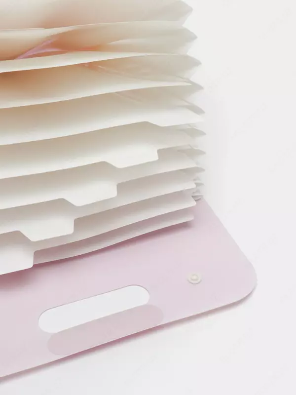 Пластиковая папка-портфель для документов "Deli" 13 отд., 350 х 270 х 45 мм, заст. 2 кнопки (Арт.- 323-PM) Ассортимент