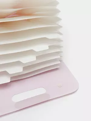 Пластиковая папка-портфель для документов "Deli" 13 отд., 350 х 270 х 45 мм, заст. 2 кнопки (Арт.- 323-PM) Ассортимент