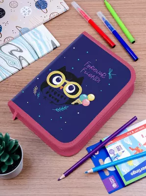 Детский пенал "Berlingo" Funny owl, 1+1 доп. отд, 200 х 140 х 40 мм, полиэстер (Арт. - PK11008) Цв. ассорти