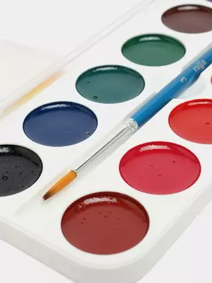   Gamma Yosh rassom akvarel bo‘yoqlari  asal asosli  12 rang  cho‘tka bilan  plastik qadoq  evropodves Арт - 212070