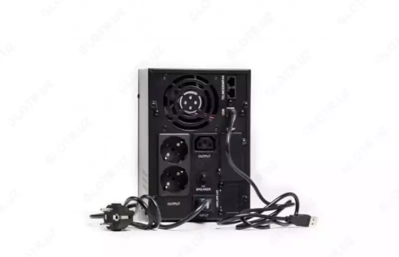 Источник бесперебойного питания EA620H, 2kVA, UPS, 1000VA, Line-interactive SINUS, without battery, DC 48V (4x12V), 2xEU socket, Мощность 800Вт