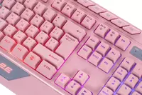   Клавиатура мембранная 2E GAMING KG315 110key  USB-A  EN/RU  RGB  розовый 
