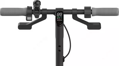 Электросамокат Segway-Ninebot F25I, Black