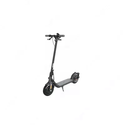 Электросамокат Segway-Ninebot F25I, Black