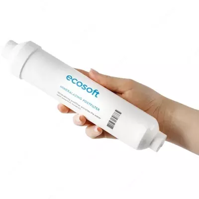 Минерализатор Ecosoft 2х10"