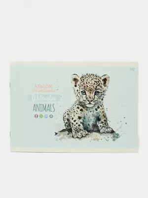 Альбом для рисования 08л., А4, на скрепке BG "Animals"