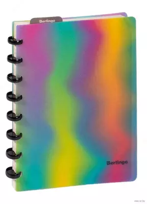 Бизнес-тетрадь А5+, 80л., Berlingo "Gradient"