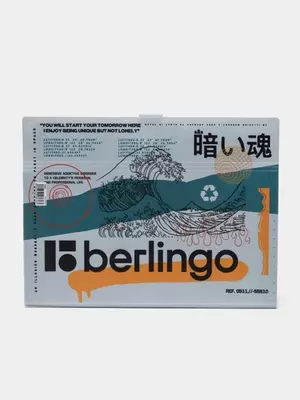 Папка 5 отделений Berlingo "Glyph", А4, 600мкм, на кнопке, с рисунком