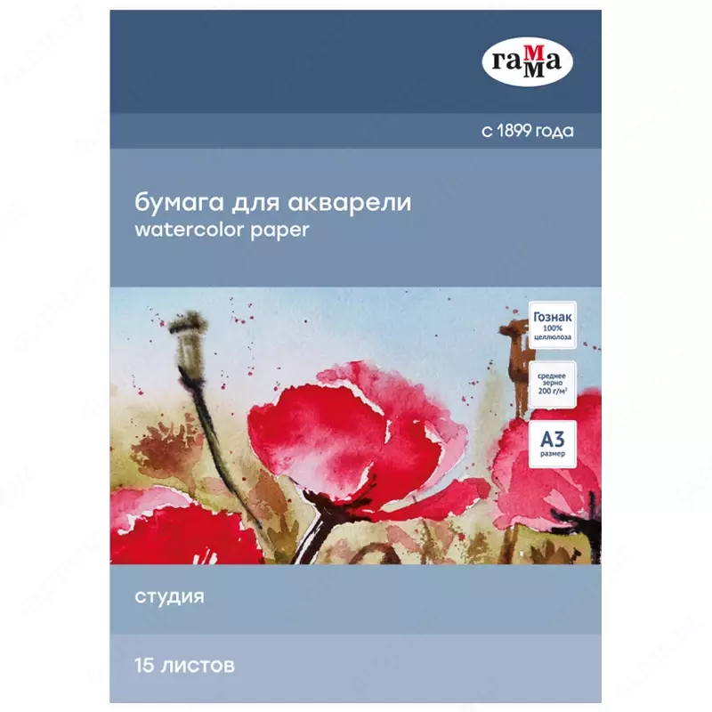 Папка для акварели, 15л., А3 Гамма "Студия", 200г/м2, среднее зерно