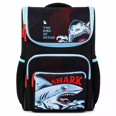Ранец ArtSpace облегченный Happy School "Shark" 39*28*18см, 1 отделение, 4 кармана, анатомическая спинка