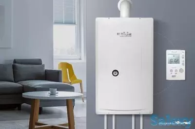 Цена по запросу Ремонт отопительных котлов