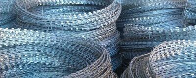 Егоза - 25 000 сум / шт.