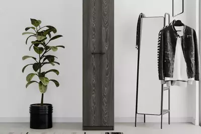 Однодверный модульный Шкаф (глухой