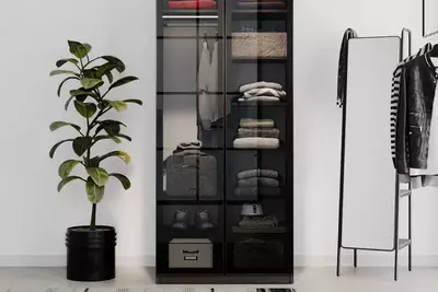 Стеклянная дверь для 2-х дверного шкафа Almila "Arwen" 44.7(х2) х 1.8 х 207 см (Турция) Черная - Цена по запросу