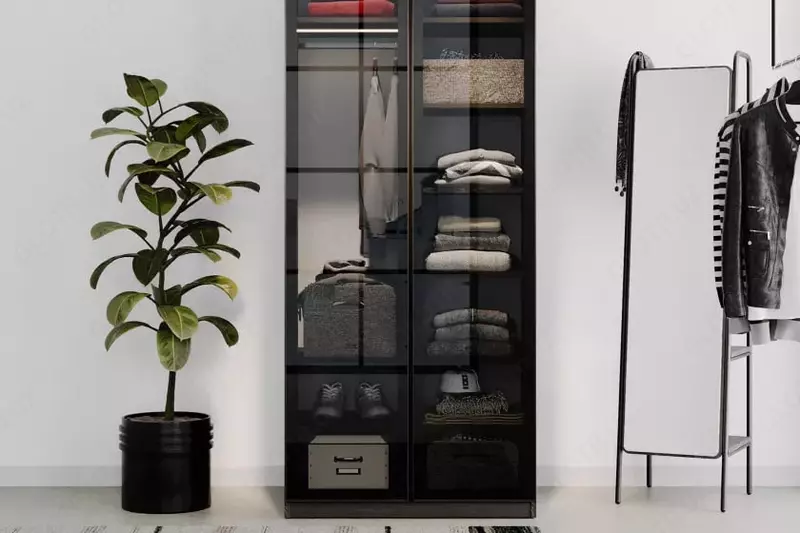 Стеклянная дверь для 2-х дверного шкафа Almila "Arwen" 44.7(х2) х 1.8 х 207 см (Турция) Черная - по запросу