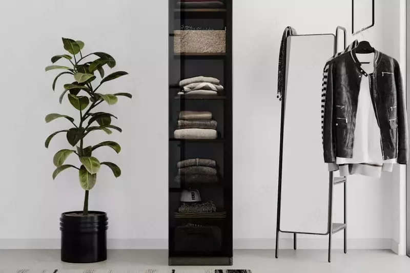 Стеклянная дверь для однодверного шкафа Almila "Vena" 44.7 х 1.8 х 207 см (Турция) Черная - по запросу