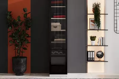 Стеклянная дверь для однодверного шкафа Almila "Vena" 44.7 х 1.8 х 207 см (Турция) Черная