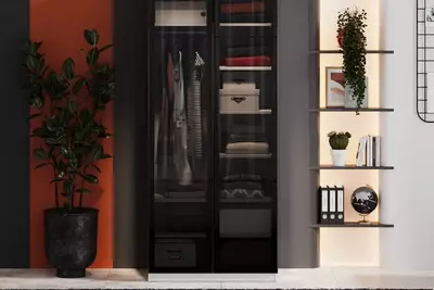 Стеклянная дверь для 2-х дверного шкафа Almila "Vena" 44.7(х2) х 1.8 х 207 см (Турция) Черная