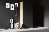 2-х дверный модульный Шкаф-купе (глухой