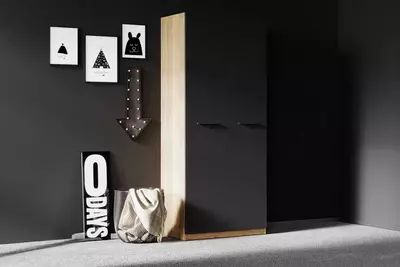 2-х дверный модульный Шкаф-купе (глухой, стеклянный) Almila "Legend" 90 х 55 х 213.5 см (Турция) Орех