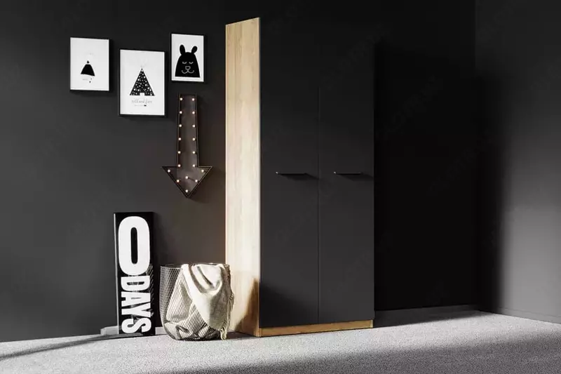 2-х дверный модульный Шкаф-купе (глухой