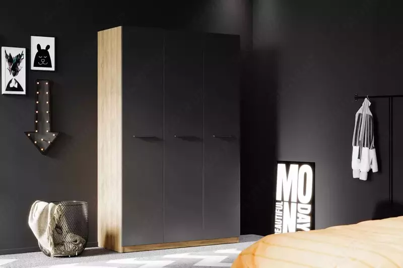 по запросу 3-х дверный модульный Шкаф-купе (глухой