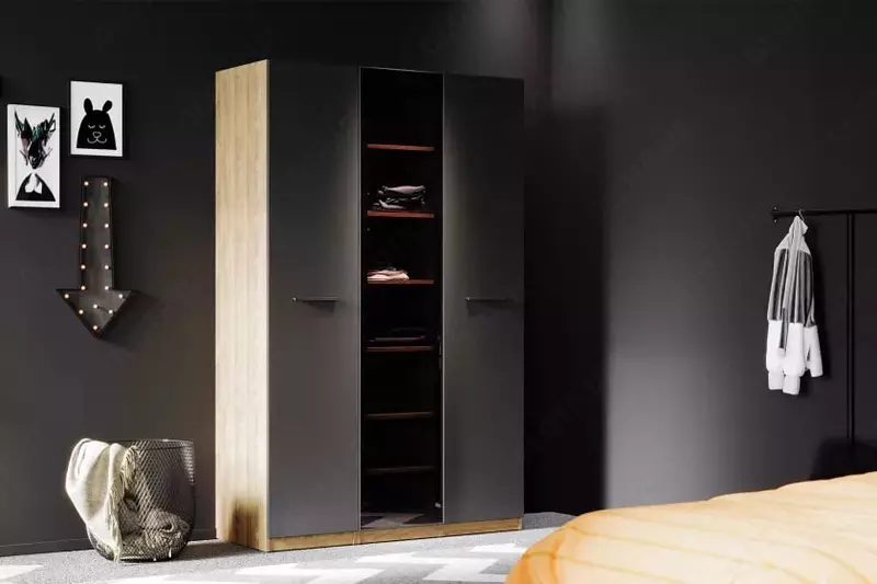 3-х дверный модульный Шкаф-купе (глухой