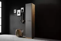 по запросу Глухая дверь для однодверного шкафа Almila "Legend" 44.7 х 3.4 х 207 см (Турция) Антрацит