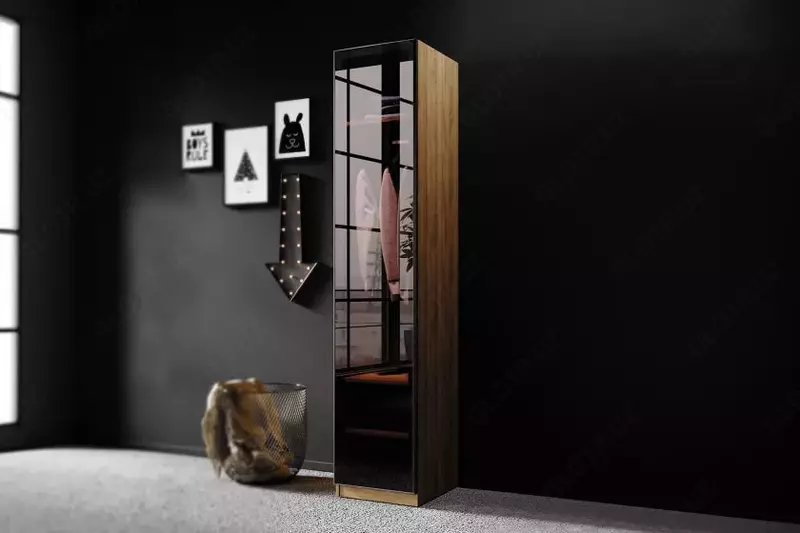 Стеклянная дверь для однодверного шкафа  Almila "Legend Moon" 44.7 х 1.8 х 207 см (Турция) Антрацит - по запросу