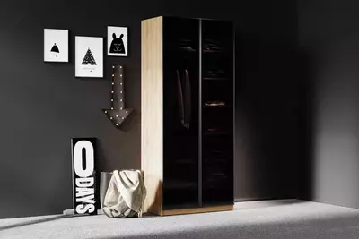 Стеклянная дверь для 2-х дверного шкафа Almila "Legend Moon" 44.7(х2) х 1.8 х 207 см (Турция) Антрацит - Цена по запросу