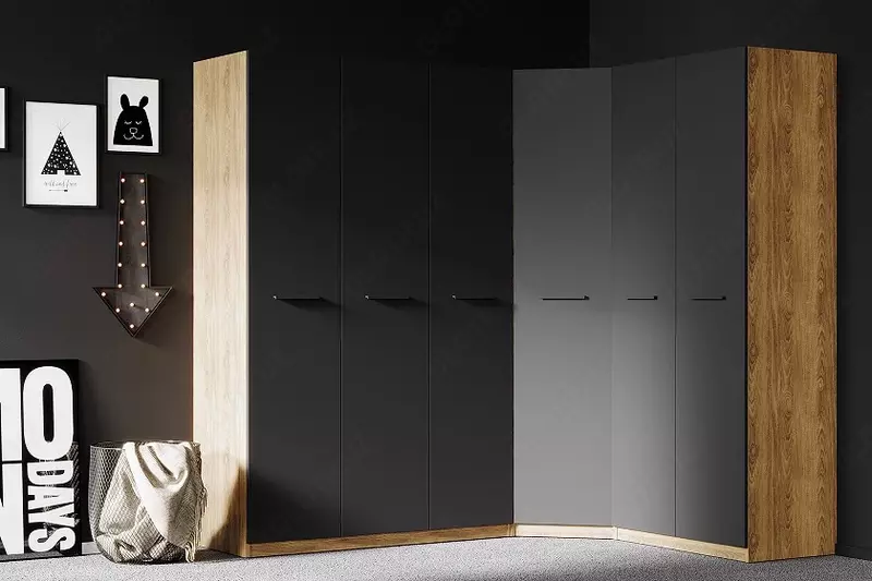 по запросу 2-х дверный шкаф-купе Almila Плюс